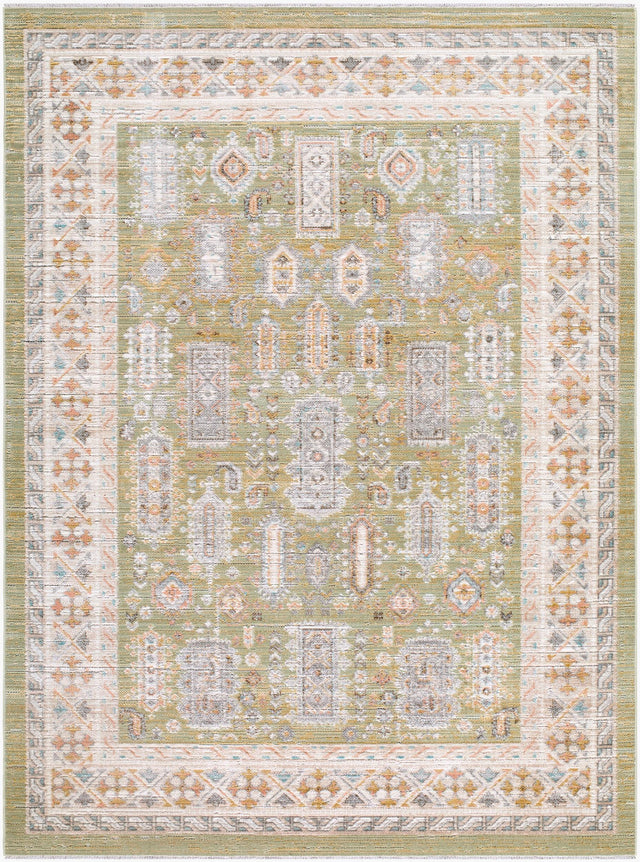 Livabliss Amir AMR-2301 6'7" x 9'2" Machine Woven Rug
