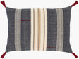 Livabliss Dashing DSG-002 16"L x 24"W Pillow