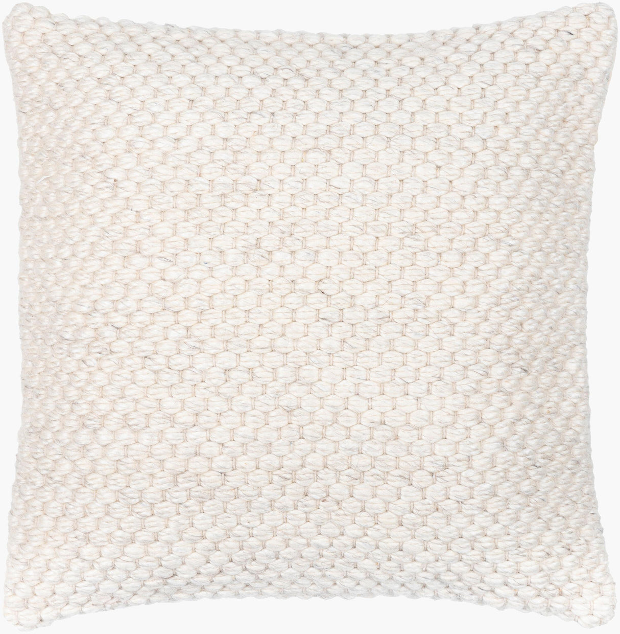 Livabliss Karrie RRI-001 20"L x 20"W Pillow