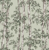 Brewster Home Fashions Fine Decor Medley Bastian Green Wallpaper
