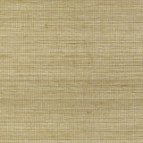 Kravet RAFFIA WP 4766 Wallpaper