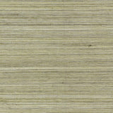 Kravet RAFFIA WP 4765 Wallpaper
