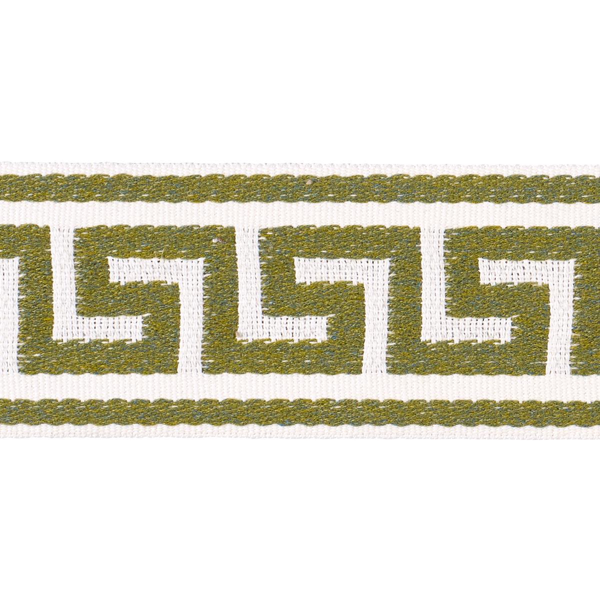 Schumacher Grass Ganton Tape Indoor/Outdoor