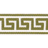 Schumacher Grass Ganton Tape Indoor/Outdoor
