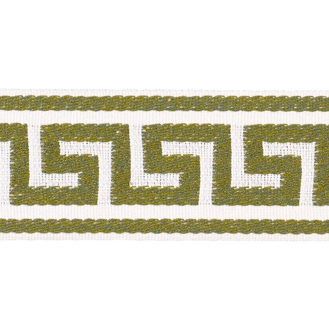 Schumacher Grass Ganton Tape Indoor/Outdoor