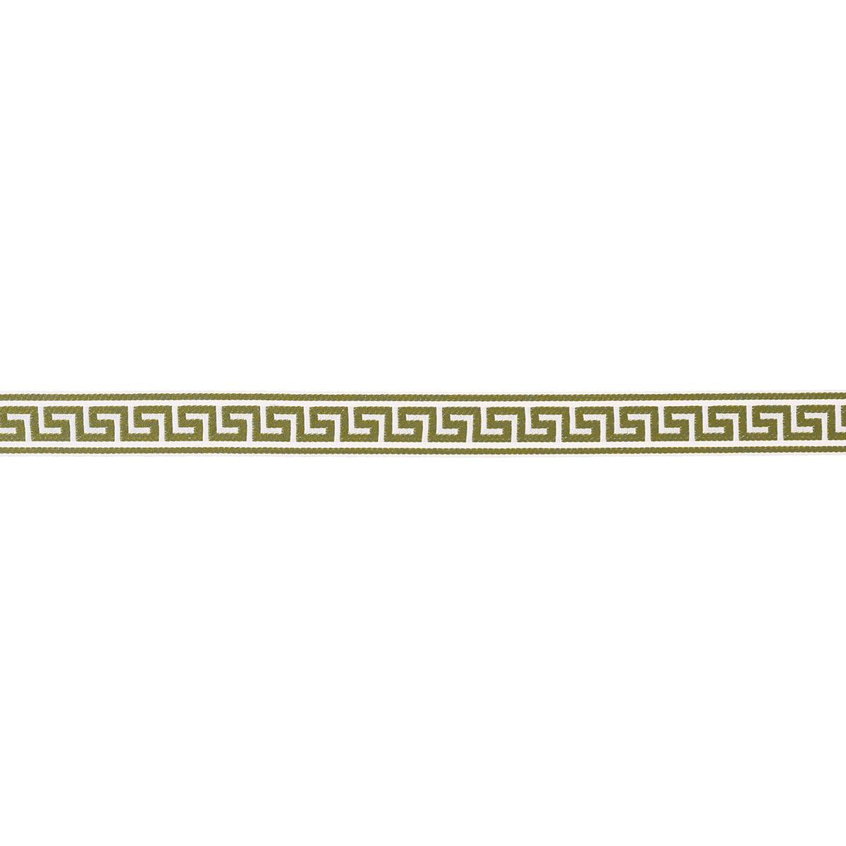 Schumacher Grass Ganton Tape Indoor/Outdoor