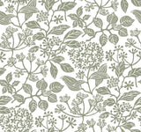 Antonina Vella Rowen Olive Wallpaper