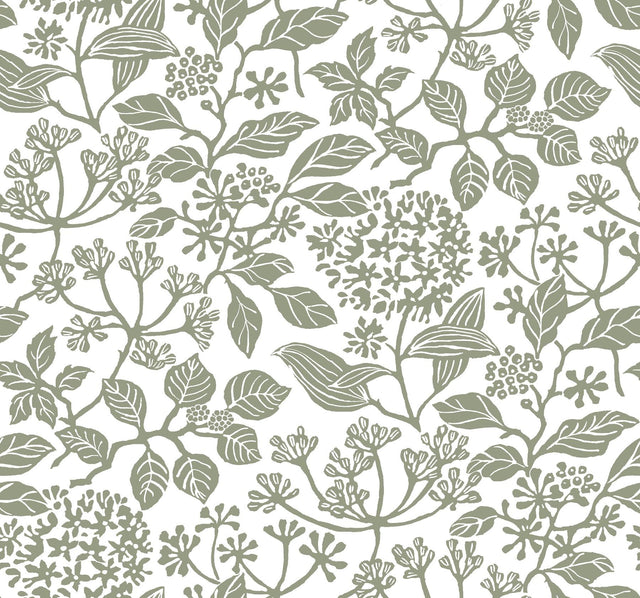 Antonina Vella Rowen Olive Wallpaper