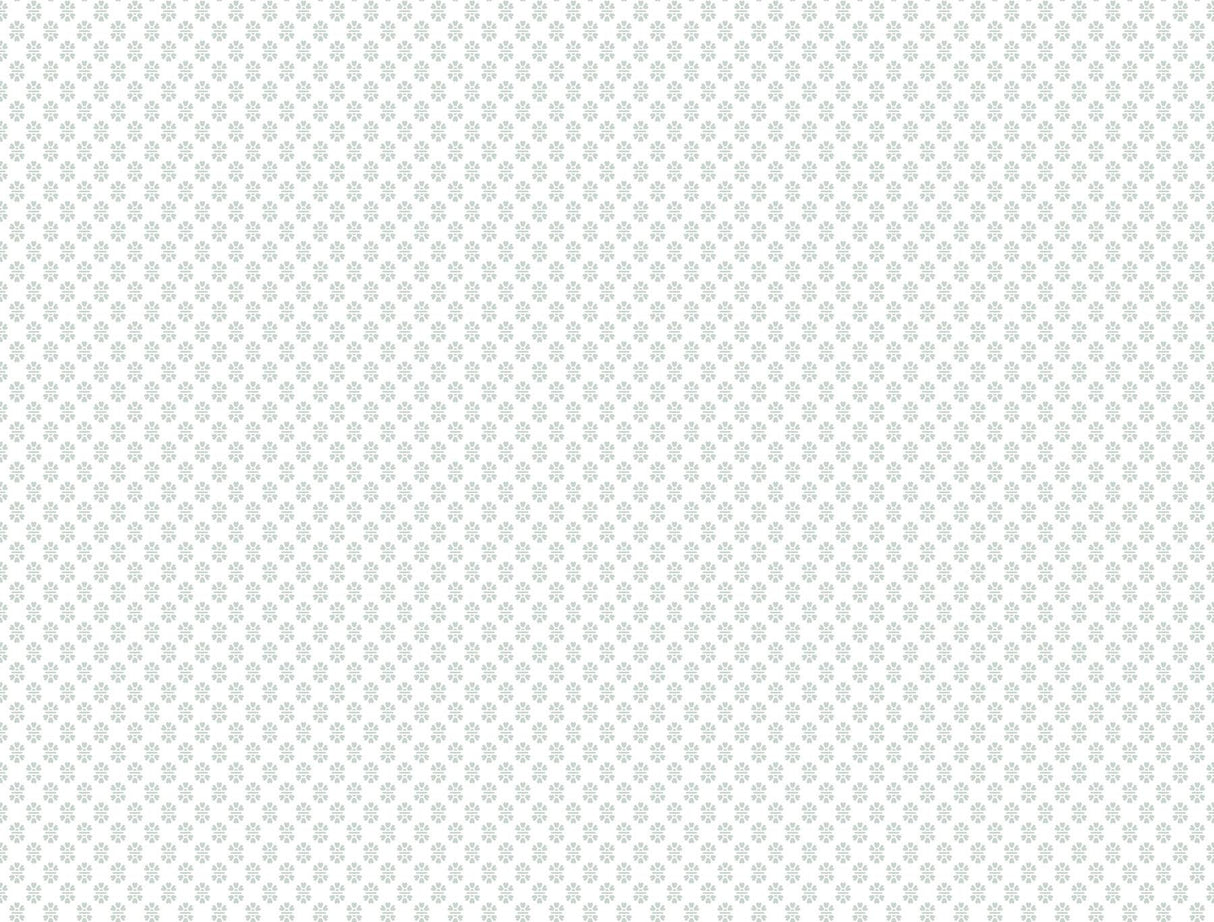 Antonina Vella Brioni Seaglass Wallpaper