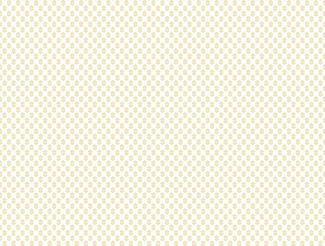 Antonina Vella Brioni Butter Wallpaper