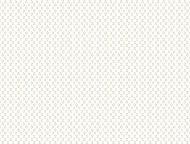 Antonina Vella Brioni Beige Wallpaper