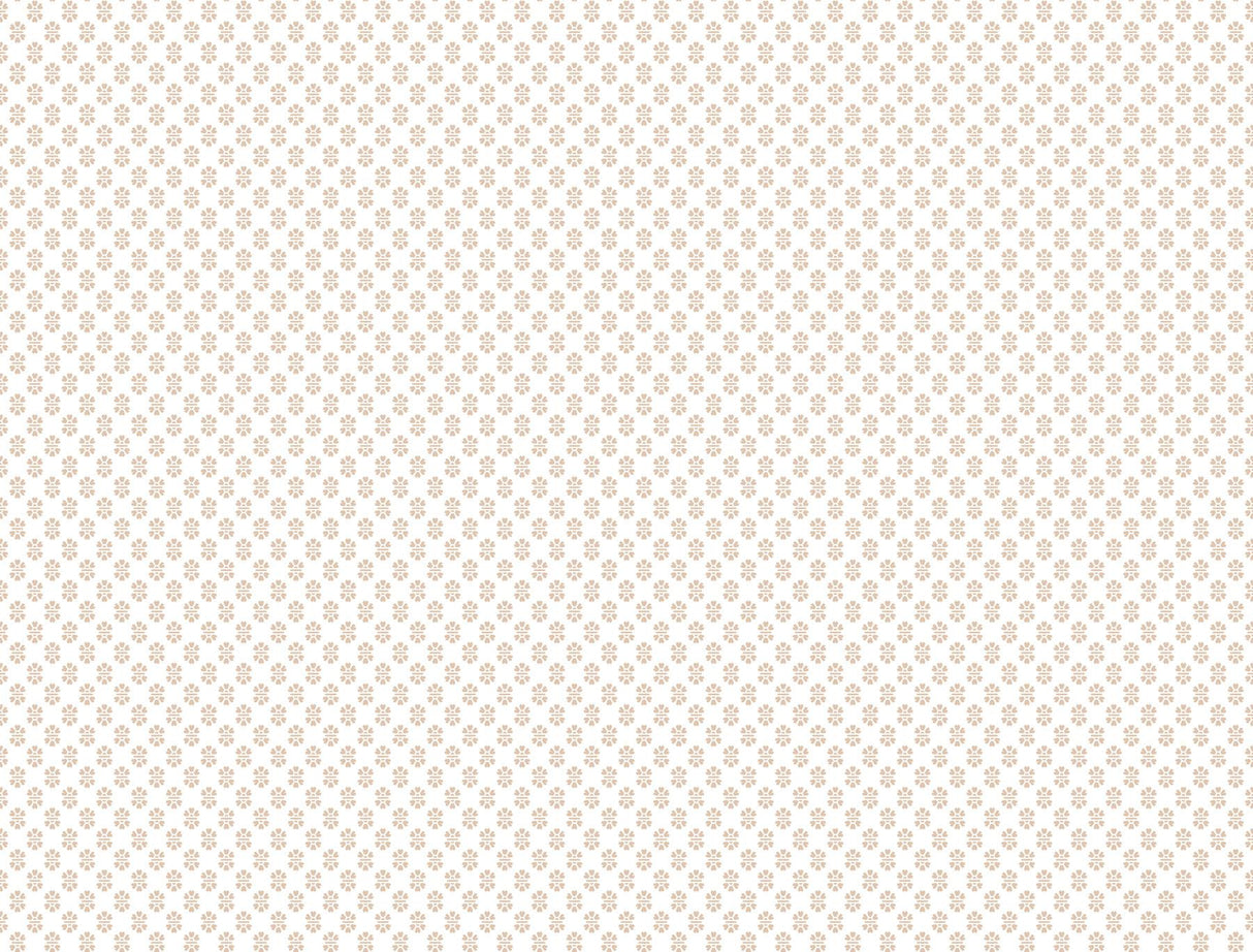 Antonina Vella Brioni Pink Wallpaper