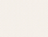 Antonina Vella Brioni Pink Wallpaper