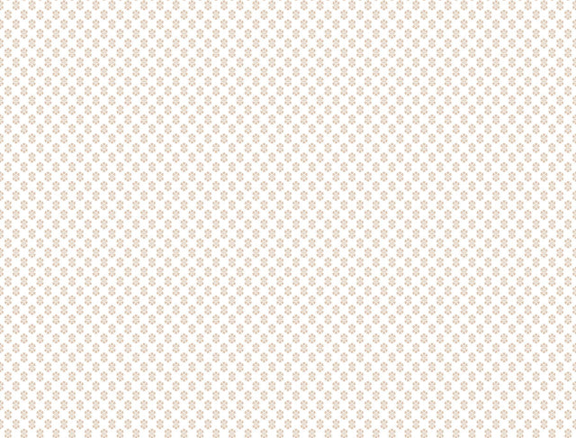 Antonina Vella Brioni Pink Wallpaper