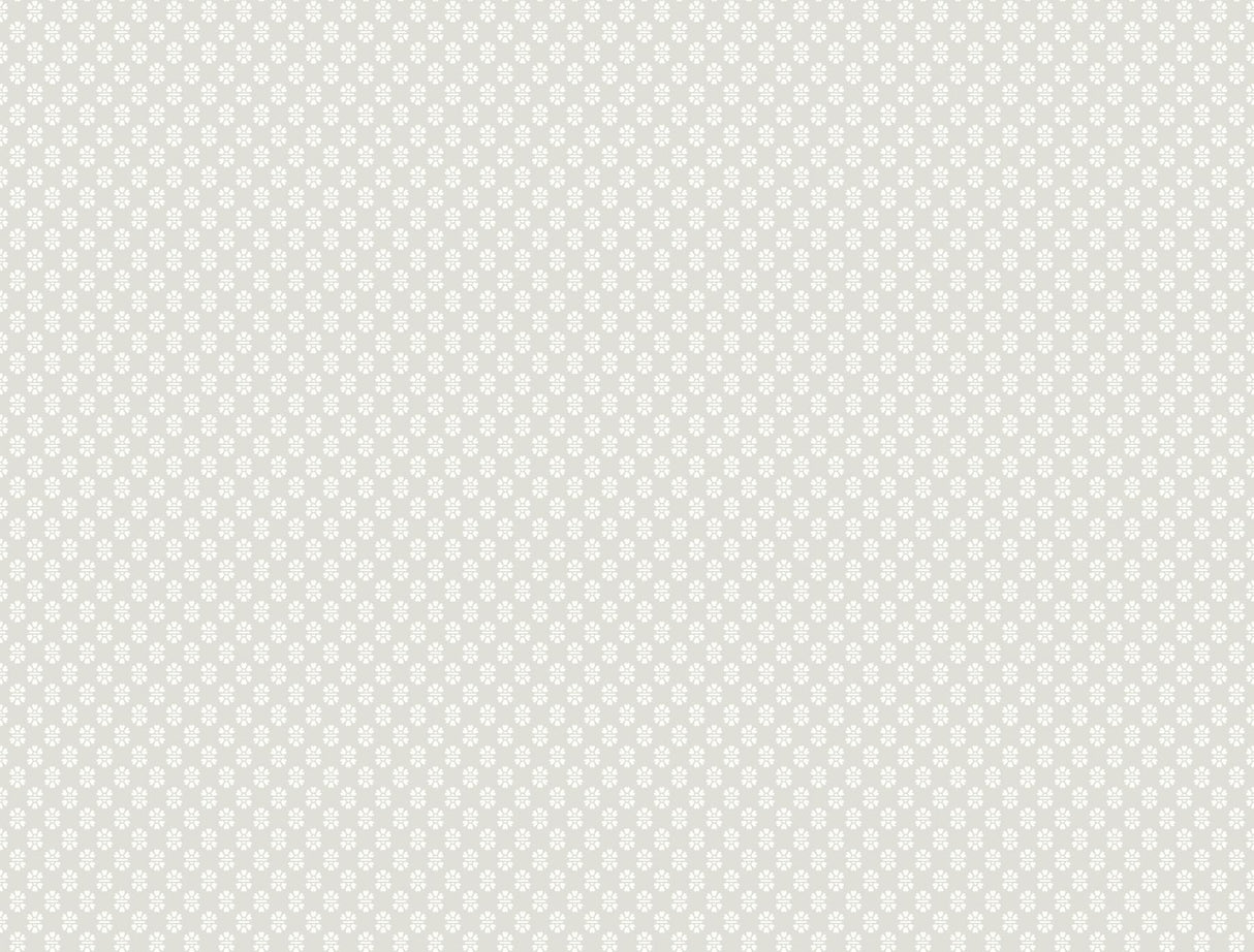 Antonina Vella Brioni Grey Wallpaper