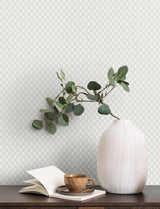 Antonina Vella Brioni Grey Wallpaper