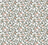 Antonina Vella Framboise Salmon & Eucalyptus Wallpaper