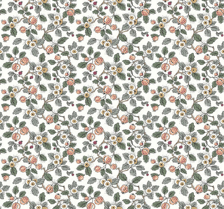 Antonina Vella Framboise Salmon & Eucalyptus Wallpaper