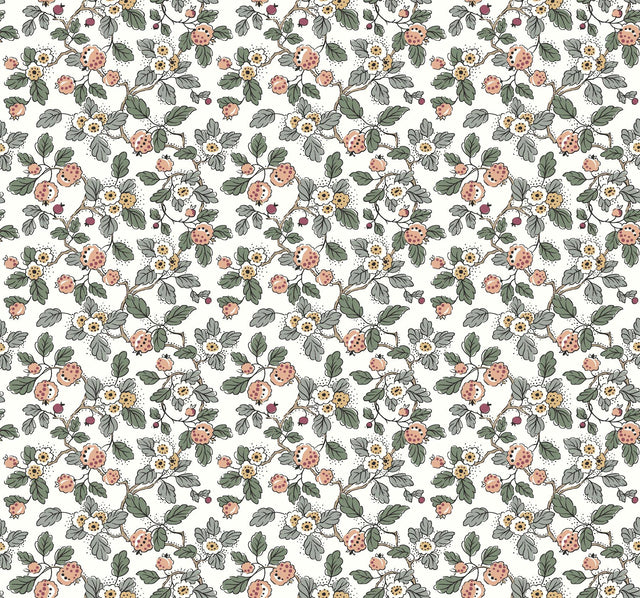 Antonina Vella Framboise Salmon & Eucalyptus Wallpaper