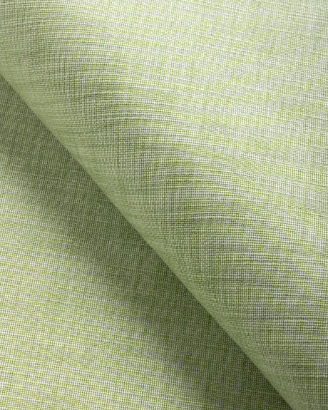 Kravet TIKKA TEXTURE MEADOW Upholstery Fabric