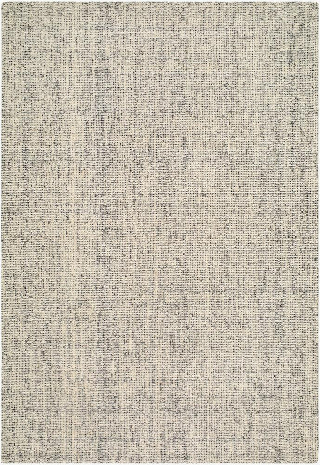 Surya Toronto TTN-2304 8' x 10' Handmade Rug