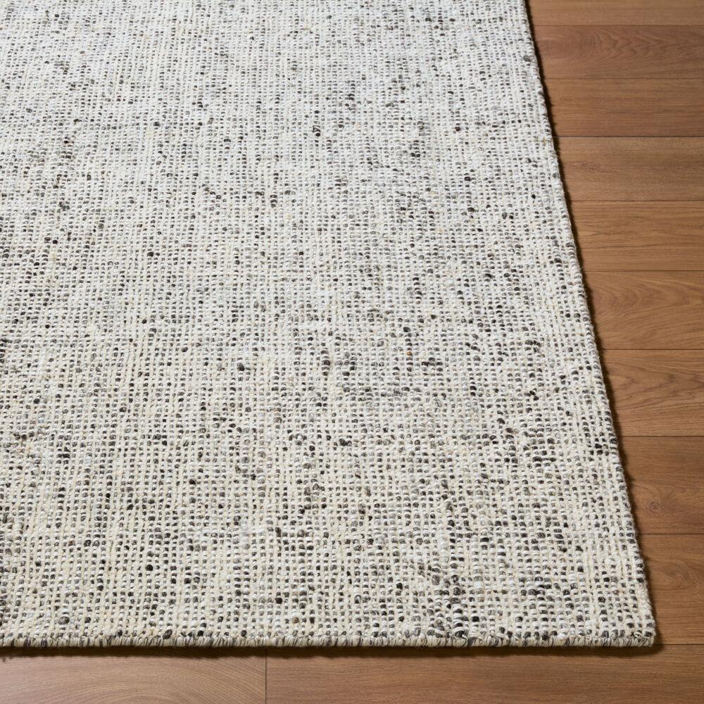 Surya Toronto TTN-2304 2' x 3' Handmade Rug