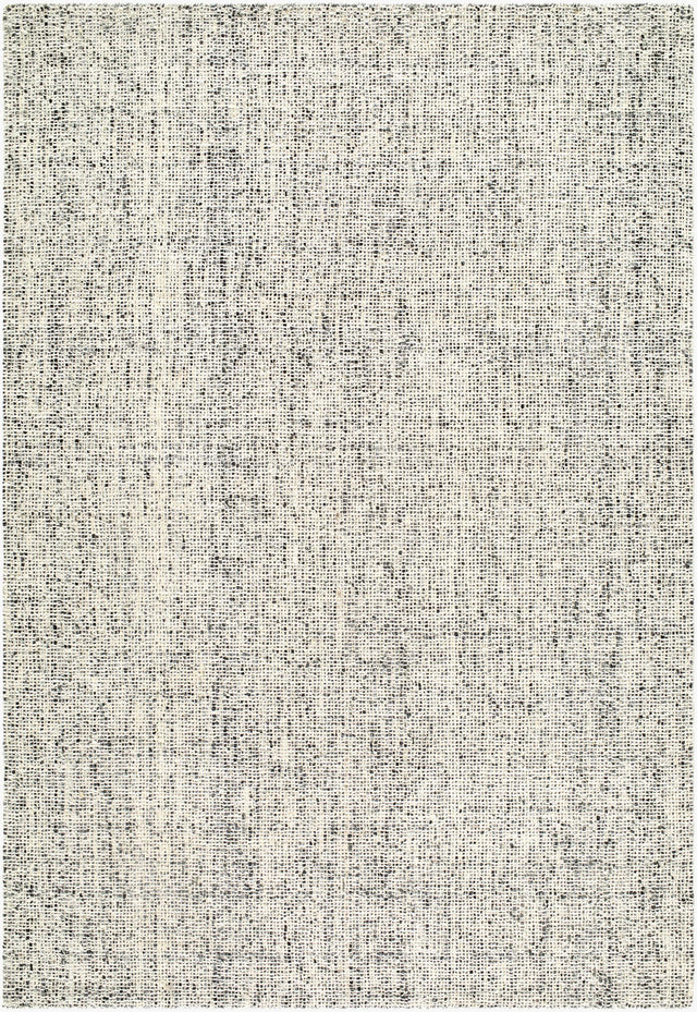 Surya Toronto TTN-2304 9' x 12' Handmade Rug