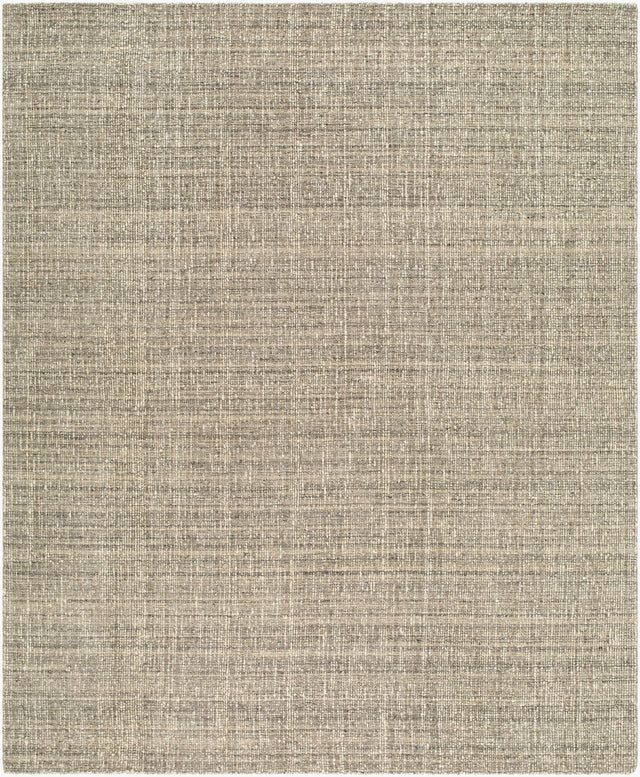 Surya Toronto TTN-2306 8' x 10' Handmade Rug