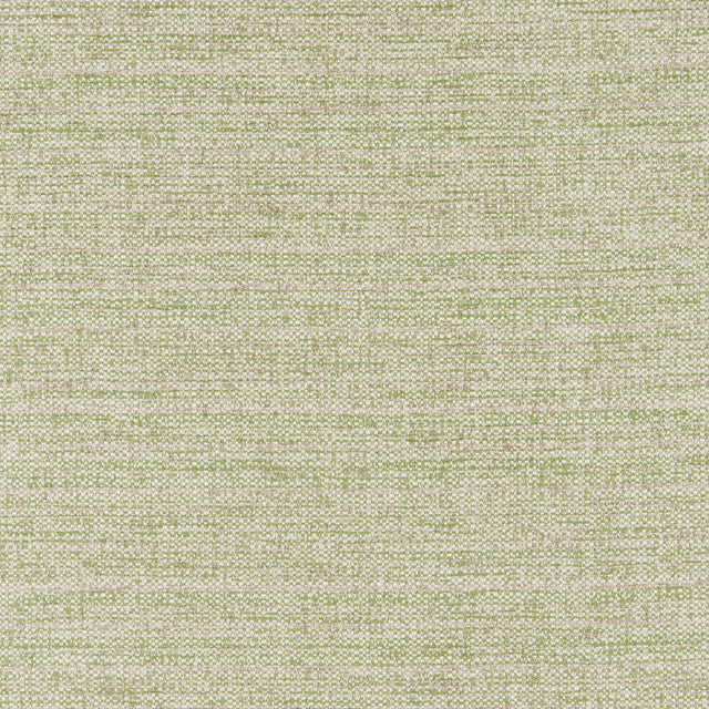 Brunschwig & Fils GARNIER TEXTURE LEAF Upholstery Fabric