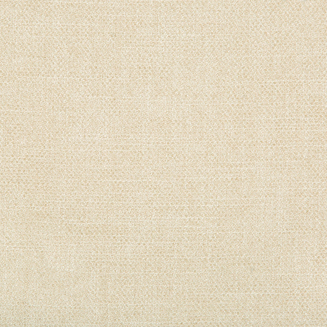 Kravet SMART 35060 1116 Upholstery Fabric