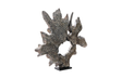 Phillips Collection Teak Sculpture on Stand Black Wash Accent