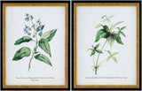 Livabliss Midsummer MIDS-003 1"H x 14"W x 18"D; 1"H x 14"W x 18"D Art