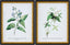Livabliss Midsummer MIDS-003 1"H x 14"W x 18"D; 1"H x 14"W x 18"D Art