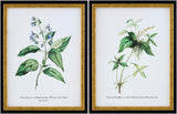Livabliss Midsummer MIDS-003 18"H x 14"W x 1"D; 18"H x 14"W x 1"D Art