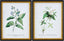 Livabliss Midsummer MIDS-003 18"H x 14"W x 1"D; 18"H x 14"W x 1"D Art