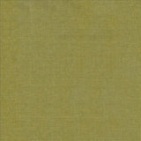 Kasmir Belclaire Cactus Fabric