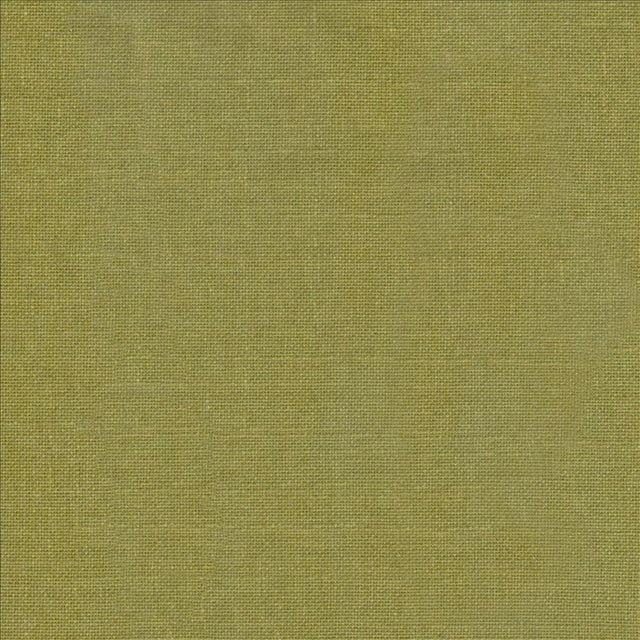Kasmir Belclaire Cactus Fabric