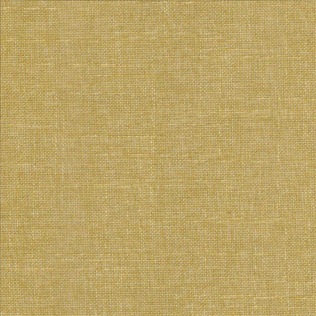 Kasmir Belclaire Flora Fabric