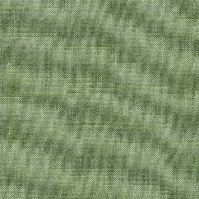 Kasmir Belclaire Sage Fabric