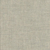 Kasmir Belclaire Silver Fabric