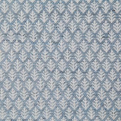 Pindler EDWARDSON CHAMBRAY Fabric