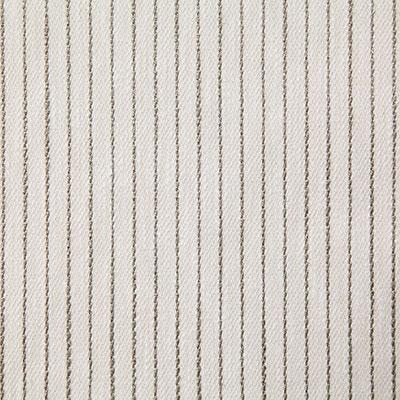 Pindler ELLSWORTH BIRCH Fabric