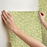 Rifle Paper Co. Elodie Gold Petite Floral Premium Peel + Stick Wallpaper
