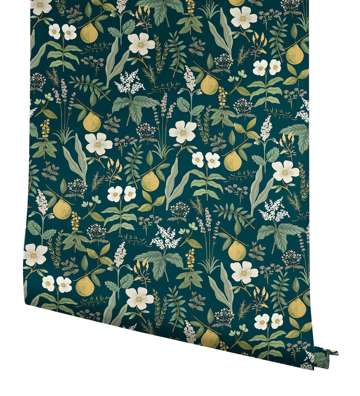 Rifle Paper Co. Herb Garden Navy Botanical Premium Peel + Stick Wallpaper