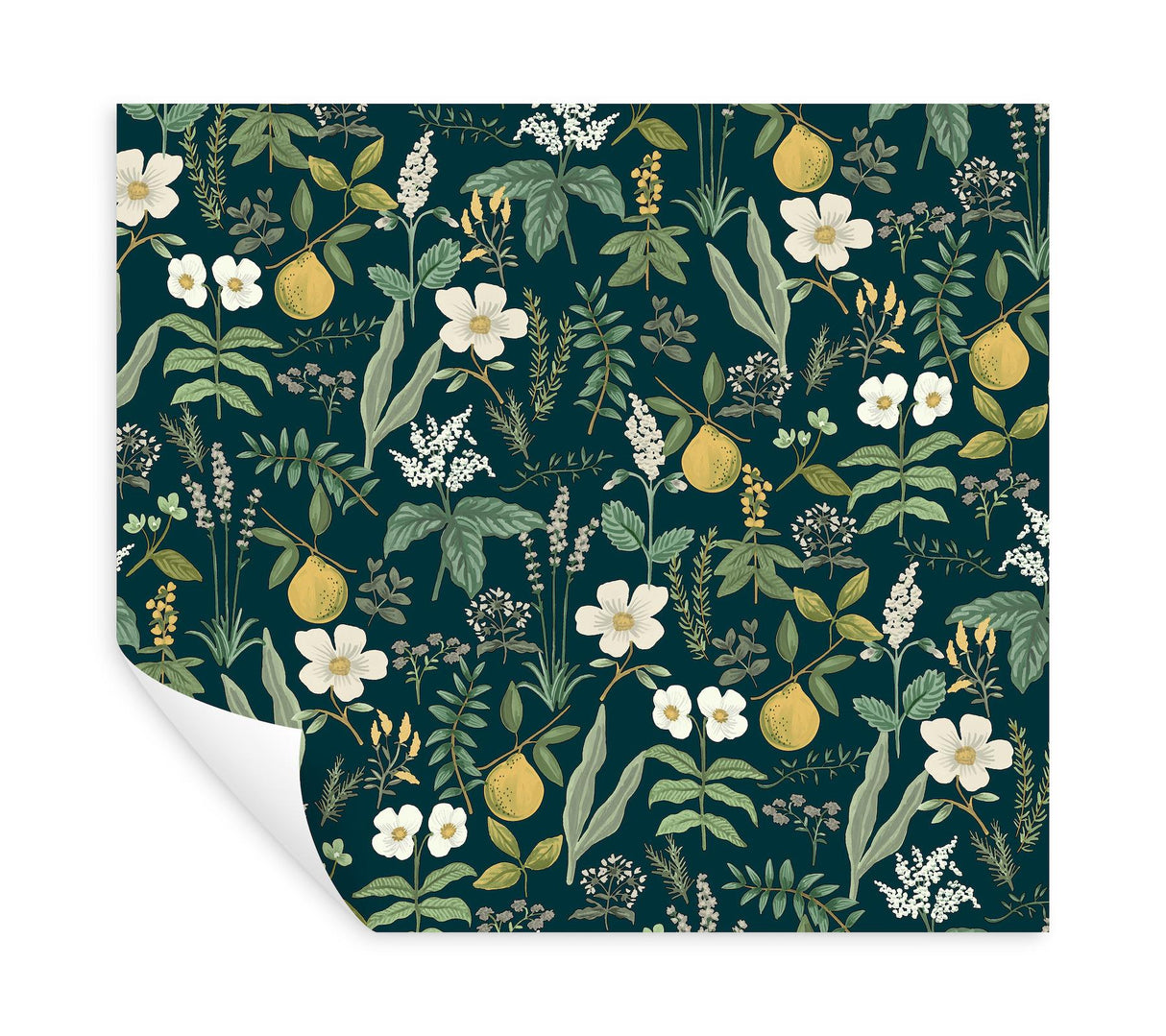 Rifle Paper Co. Herb Garden Navy Botanical Premium Peel + Stick Wallpaper
