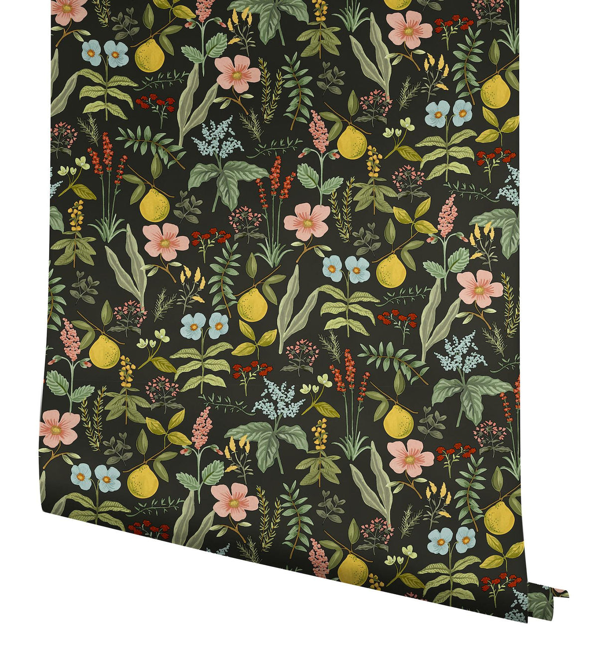Rifle Paper Co. Herb Garden Black Botanical Premium Peel + Stick Wallpaper