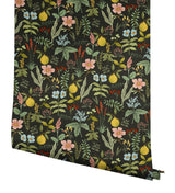 Rifle Paper Co. Herb Garden Black Botanical Premium Peel + Stick Wallpaper
