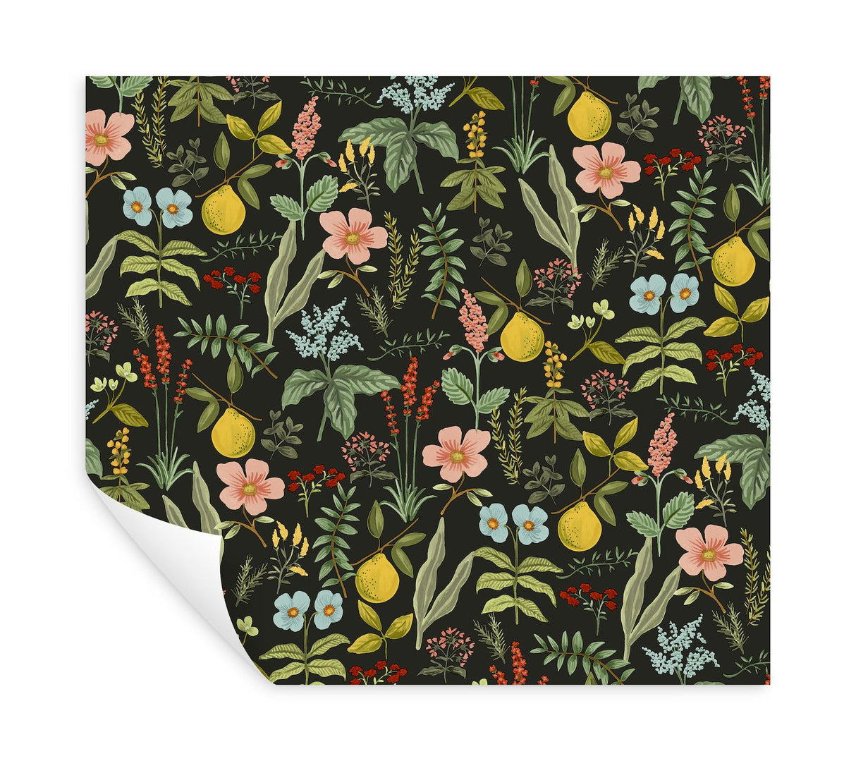 Rifle Paper Co. Herb Garden Black Botanical Premium Peel + Stick Wallpaper