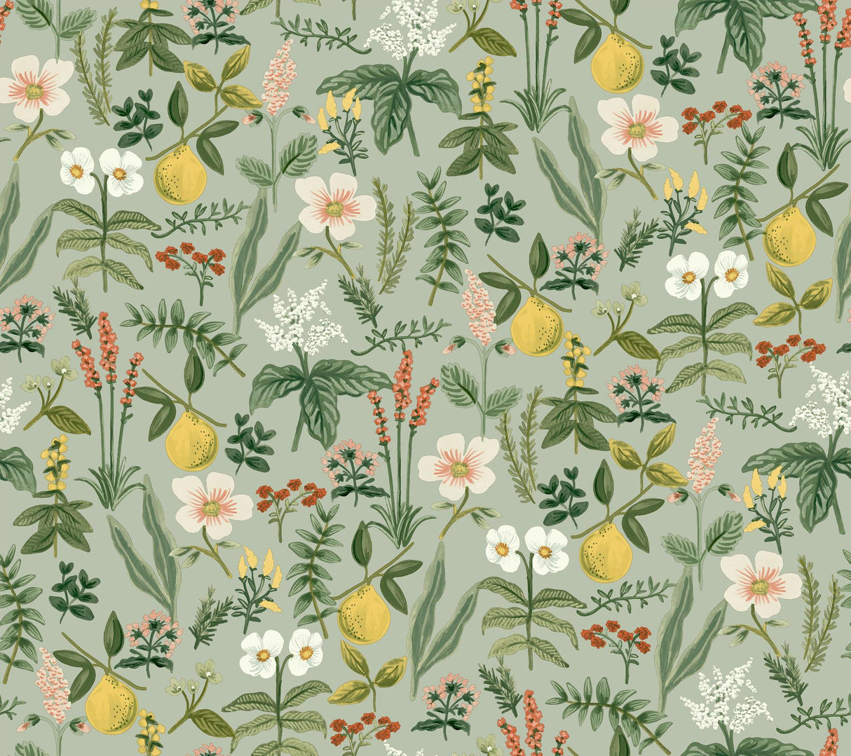 Rifle Paper Co. Herb Garden Sage Botanical Premium Peel + Stick Wallpaper