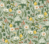 Rifle Paper Co. Herb Garden Sage Botanical Premium Peel + Stick Wallpaper